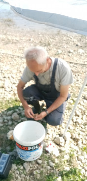 ODLOŽENO JE TAKMIČENJE U PECANJU DUBINKOM I FIDER TEHNIKOM